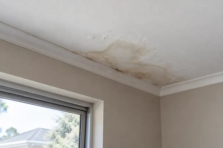 Illustration of staining and damaged finish on an interior ceiling