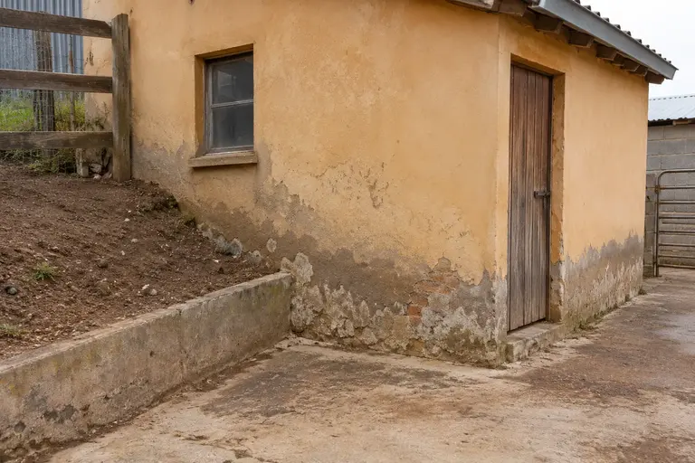 Illustration of raised ground beside a damp-affected wall
