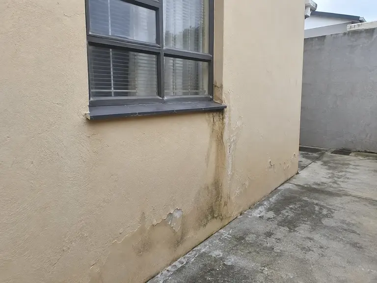 Illustration of staining and flaking plaster below an exterior window