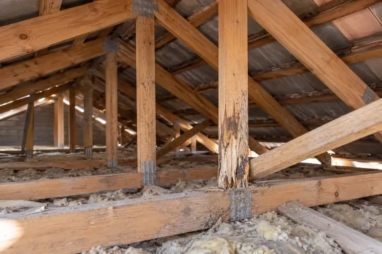 Illustration of a roof structure and supporting timber members